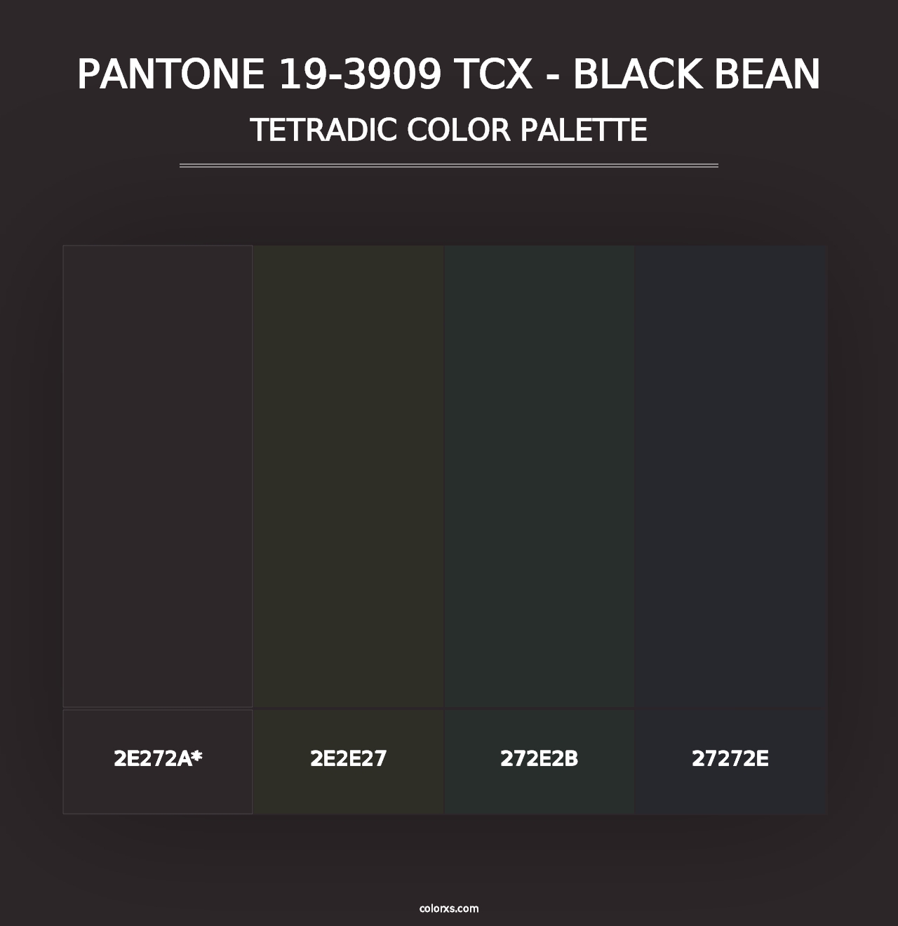 PANTONE 19-3909 TCX - Black Bean - Tetradic Color Palette