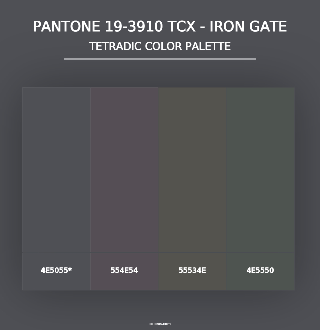 PANTONE 19-3910 TCX - Iron Gate - Tetradic Color Palette