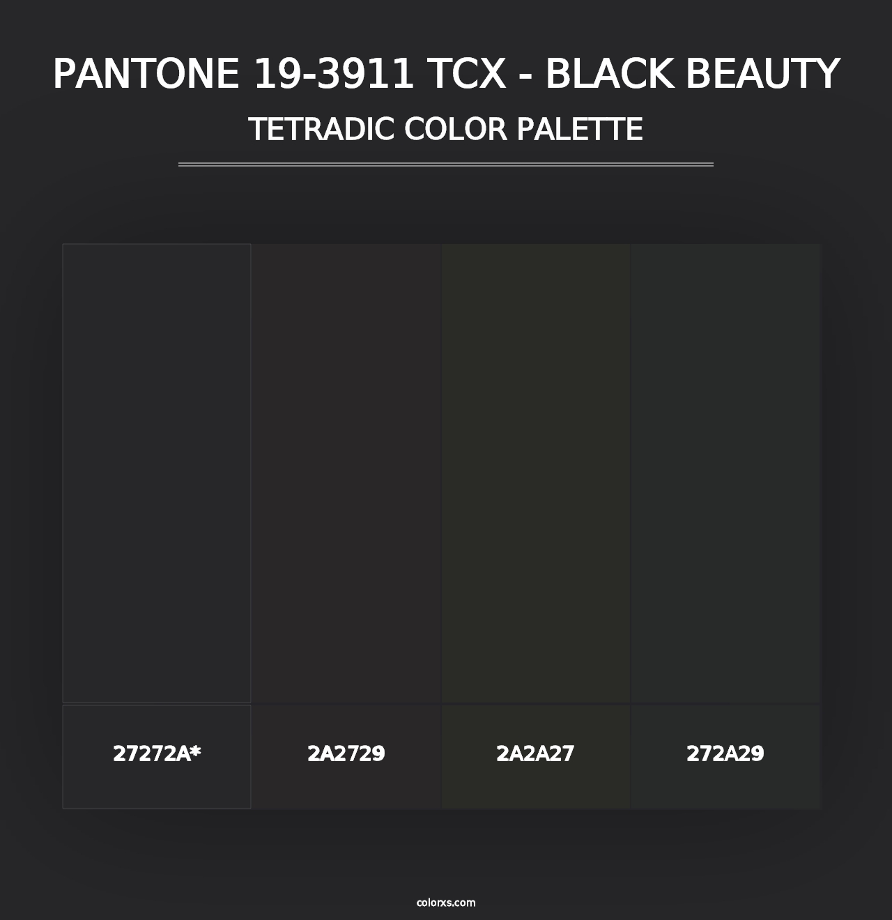 PANTONE 19-3911 TCX - Black Beauty - Tetradic Color Palette