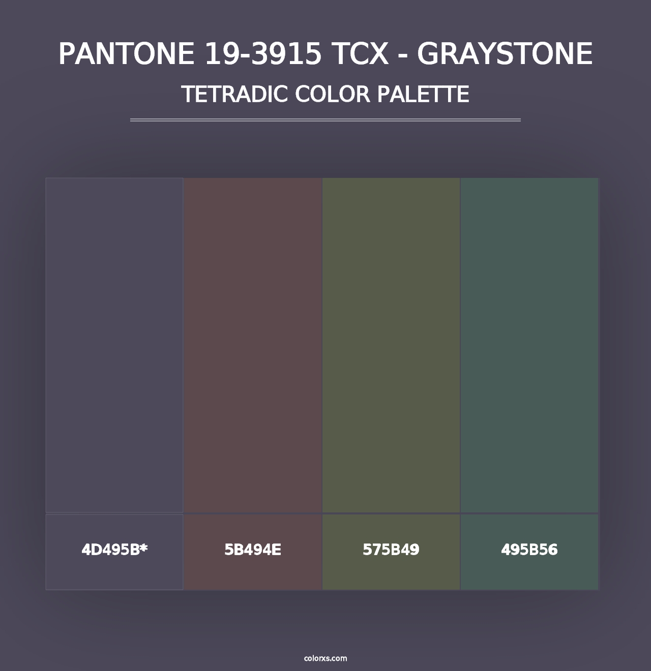 PANTONE 19-3915 TCX - Graystone - Tetradic Color Palette