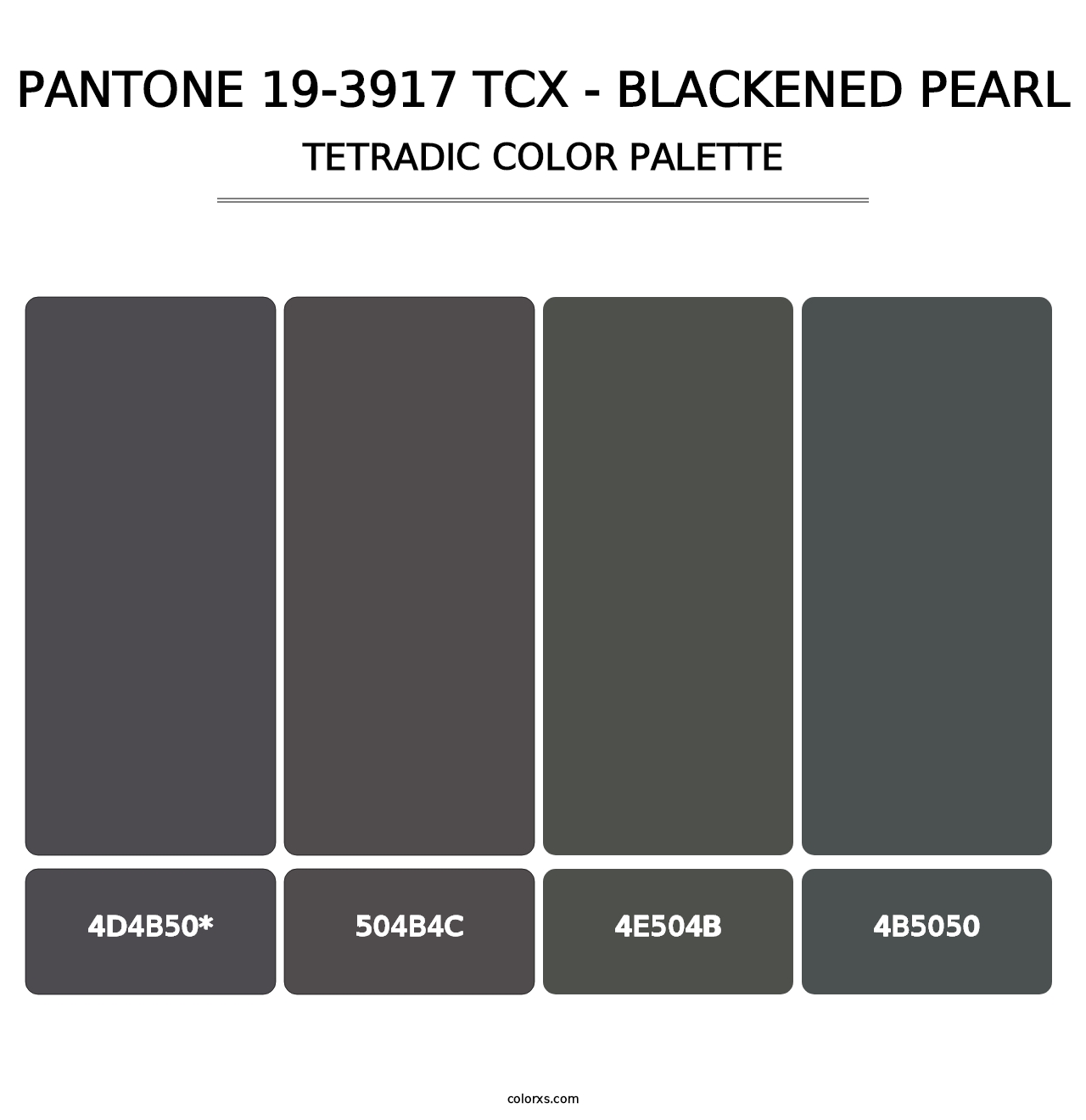 PANTONE 19-3917 TCX - Blackened Pearl - Tetradic Color Palette