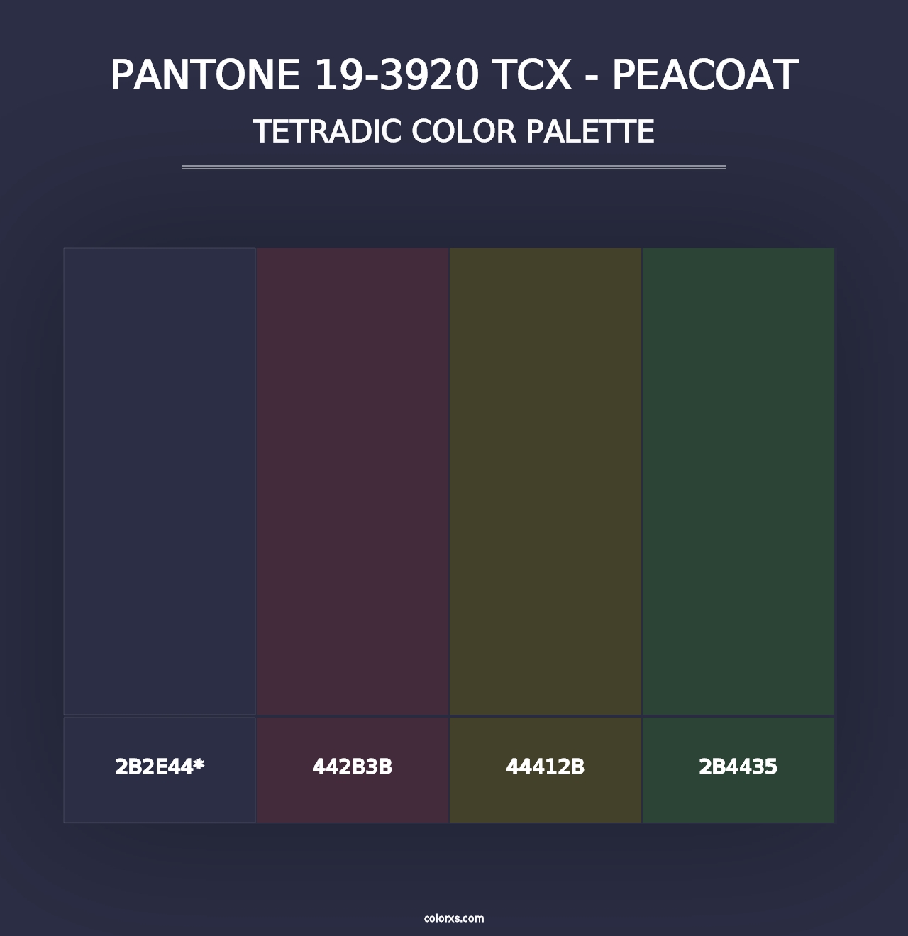 PANTONE 19-3920 TCX - Peacoat - Tetradic Color Palette