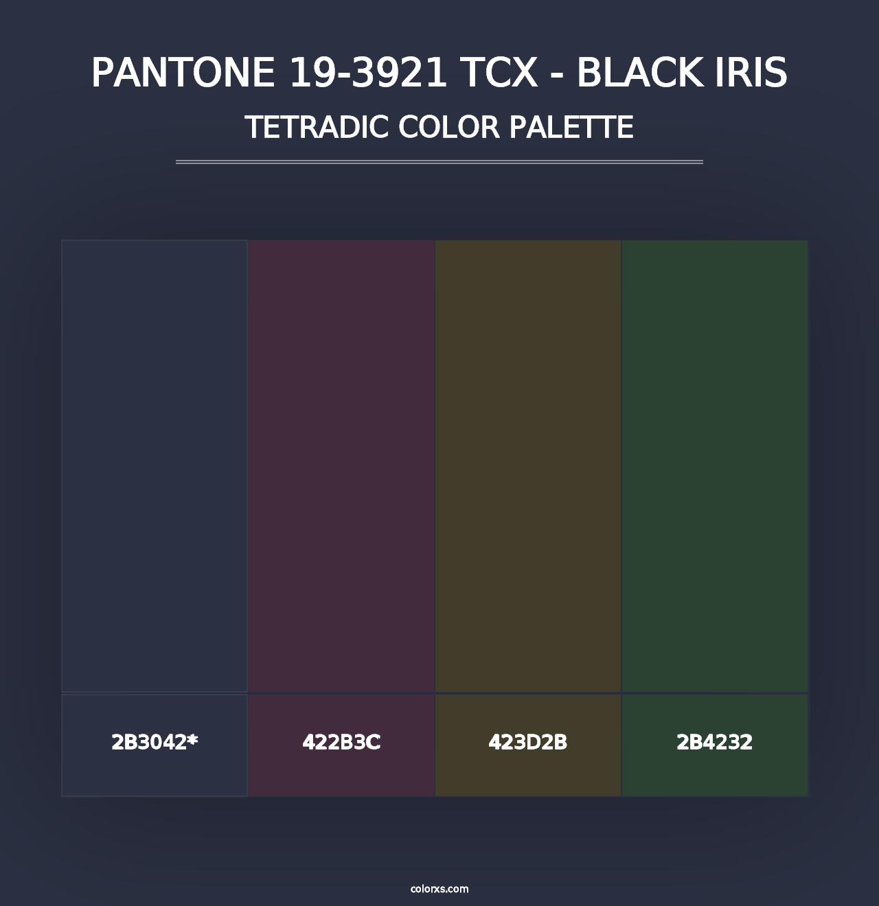 PANTONE 19-3921 TCX - Black Iris - Tetradic Color Palette