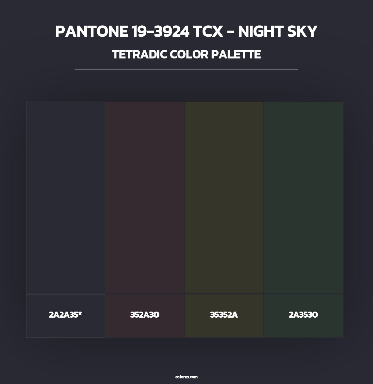 PANTONE 19-3924 TCX - Night Sky - Tetradic Color Palette