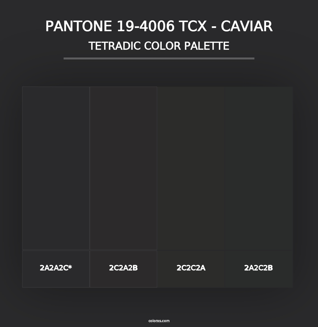 PANTONE 19-4006 TCX - Caviar - Tetradic Color Palette