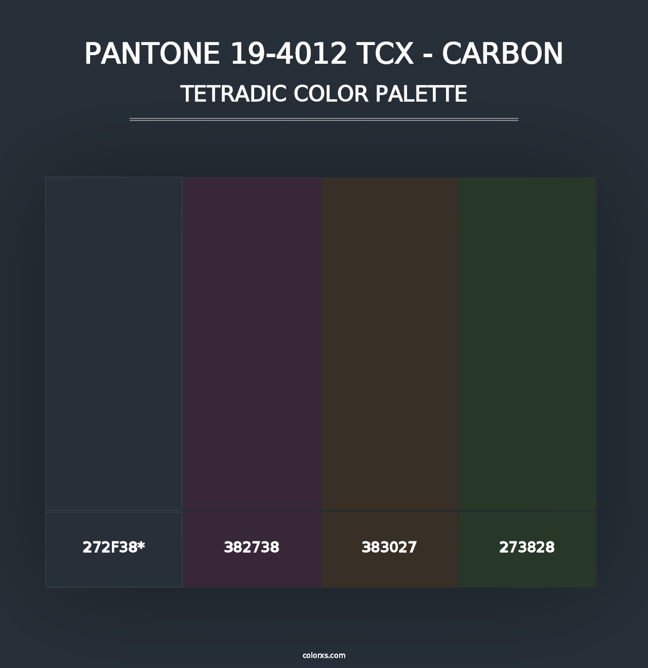 PANTONE 19-4012 TCX - Carbon - Tetradic Color Palette