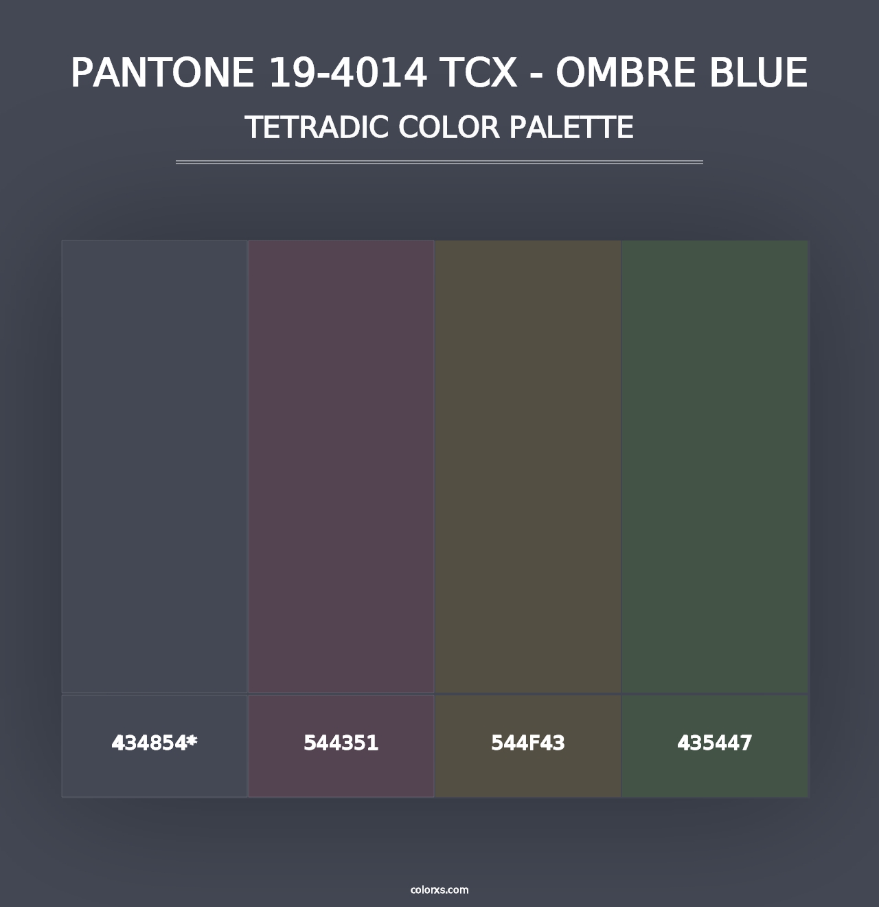 PANTONE 19-4014 TCX - Ombre Blue - Tetradic Color Palette