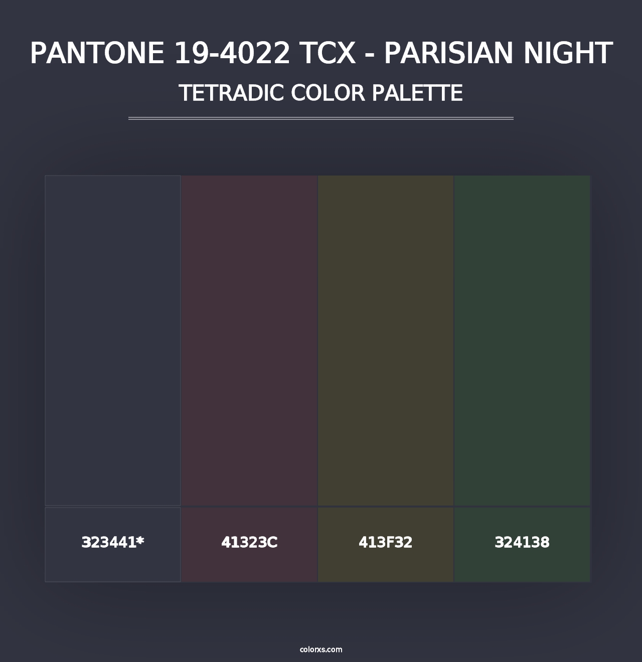 PANTONE 19-4022 TCX - Parisian Night - Tetradic Color Palette