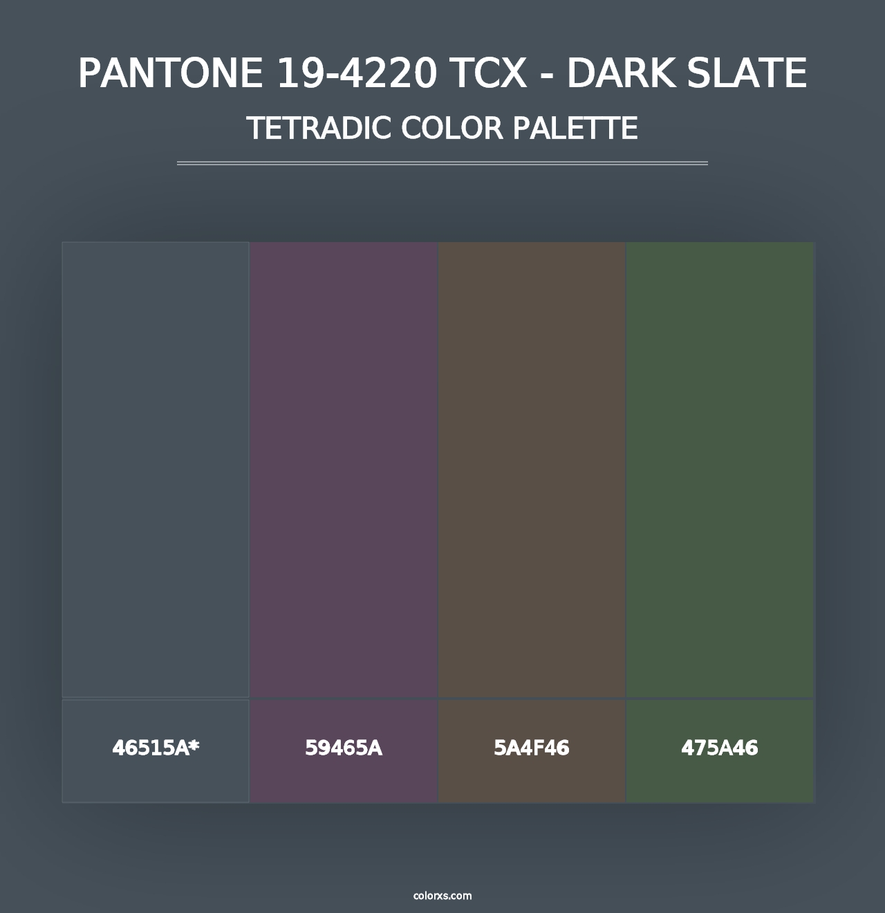 PANTONE 19-4220 TCX - Dark Slate - Tetradic Color Palette