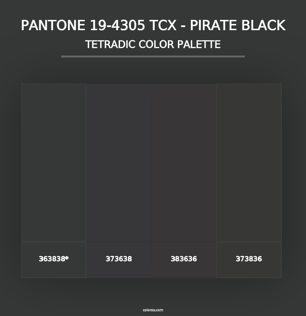 PANTONE 19-4305 TCX - Pirate Black - Tetradic Color Palette