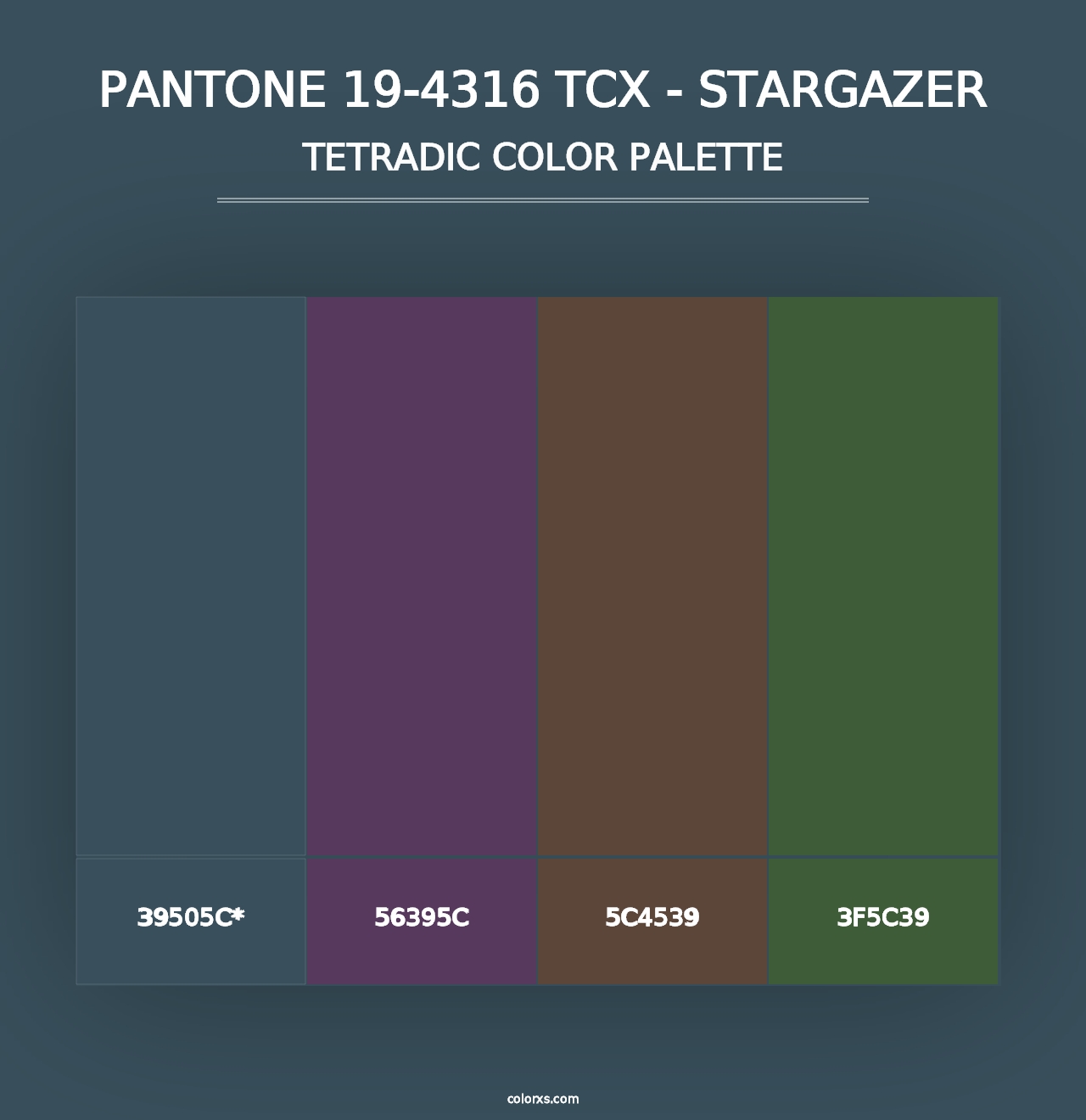 PANTONE 19-4316 TCX - Stargazer - Tetradic Color Palette