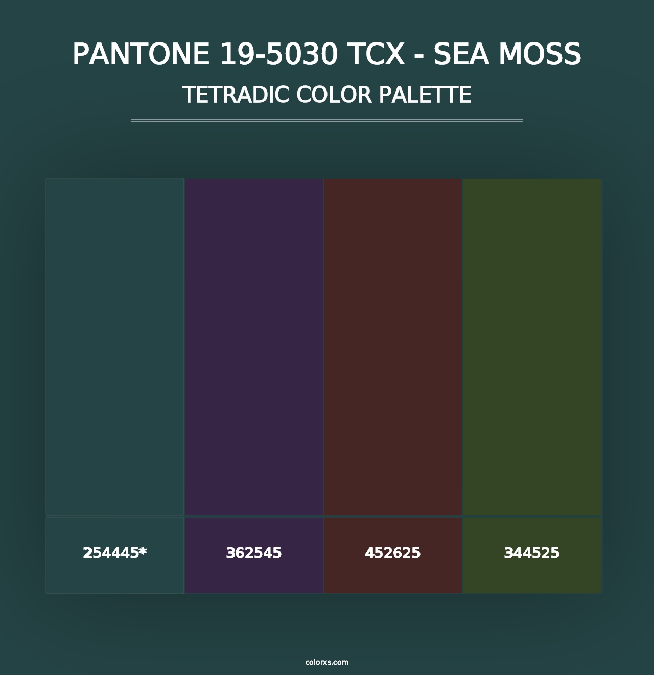 PANTONE 19-5030 TCX - Sea Moss - Tetradic Color Palette