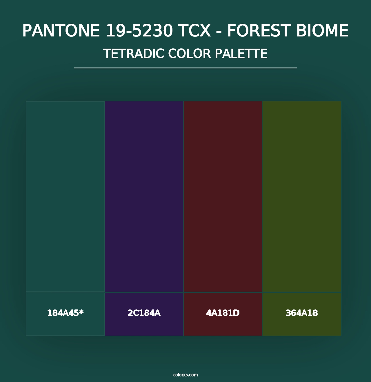 PANTONE 19-5230 TCX - Forest Biome - Tetradic Color Palette