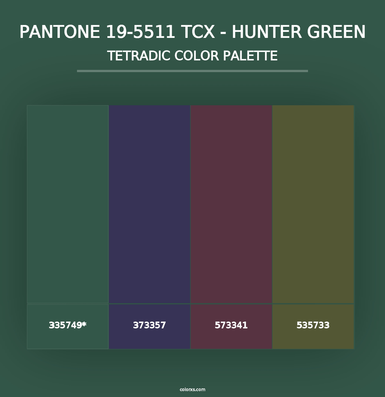 PANTONE 19-5511 TCX - Hunter Green - Tetradic Color Palette