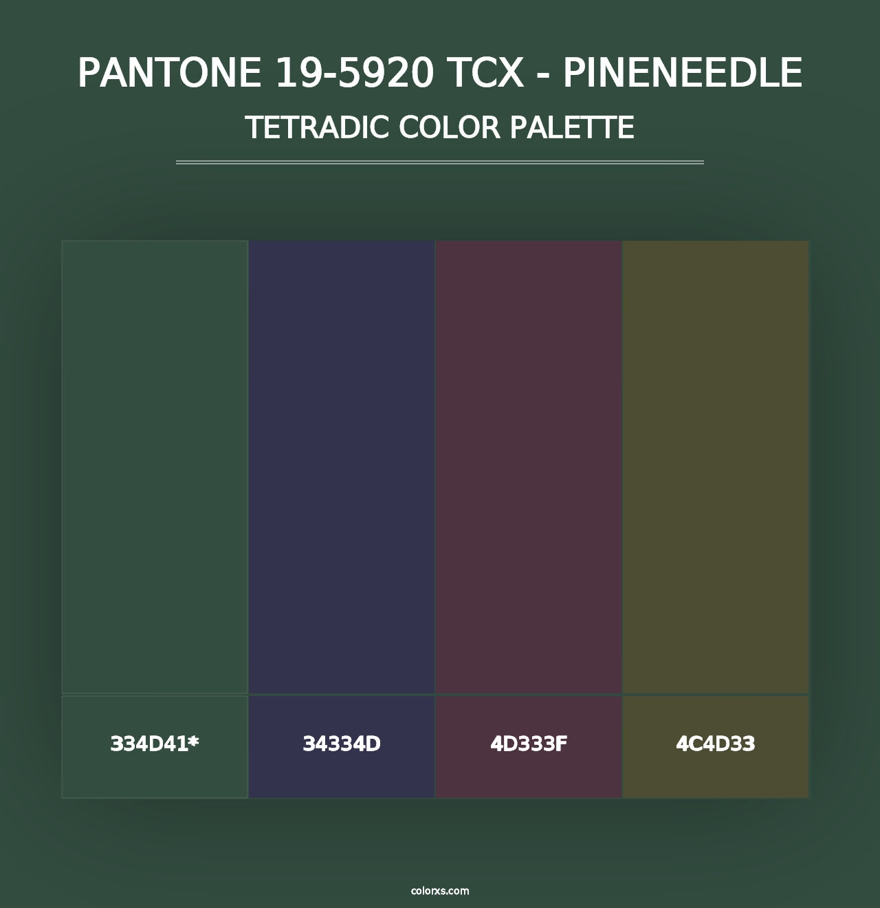 PANTONE 19-5920 TCX - Pineneedle - Tetradic Color Palette