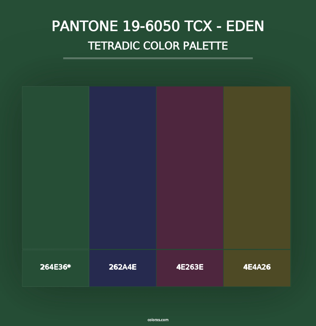 PANTONE 19-6050 TCX - Eden - Tetradic Color Palette