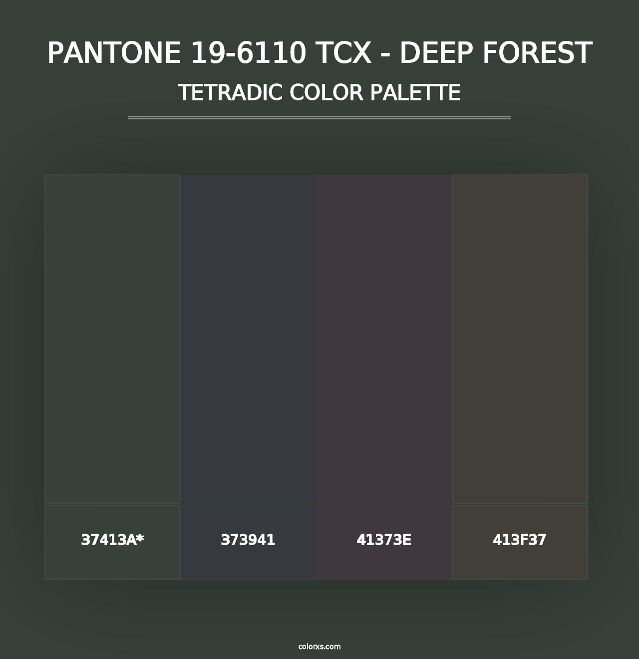 PANTONE 19-6110 TCX - Deep Forest - Tetradic Color Palette