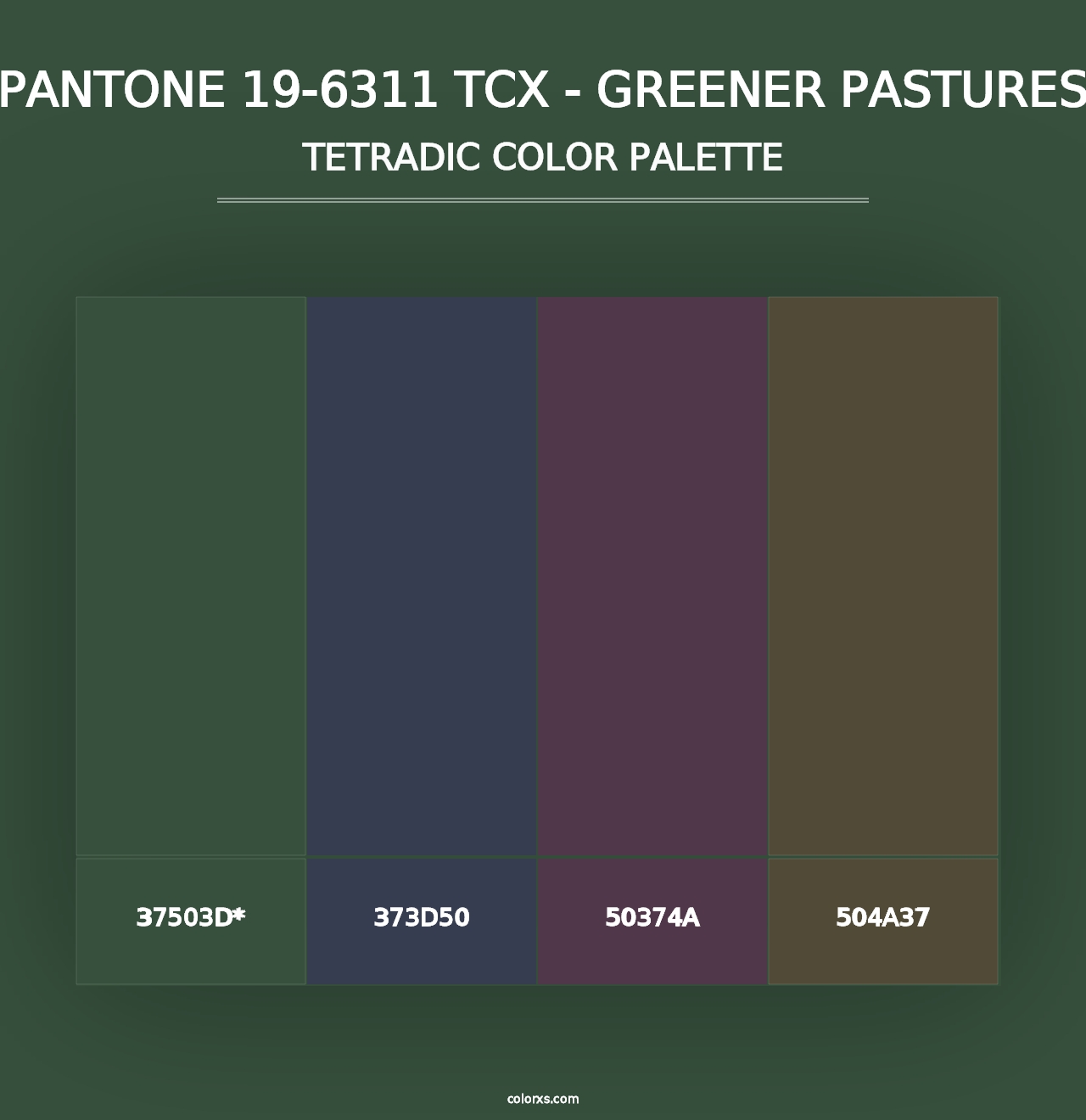 PANTONE 19-6311 TCX - Greener Pastures - Tetradic Color Palette