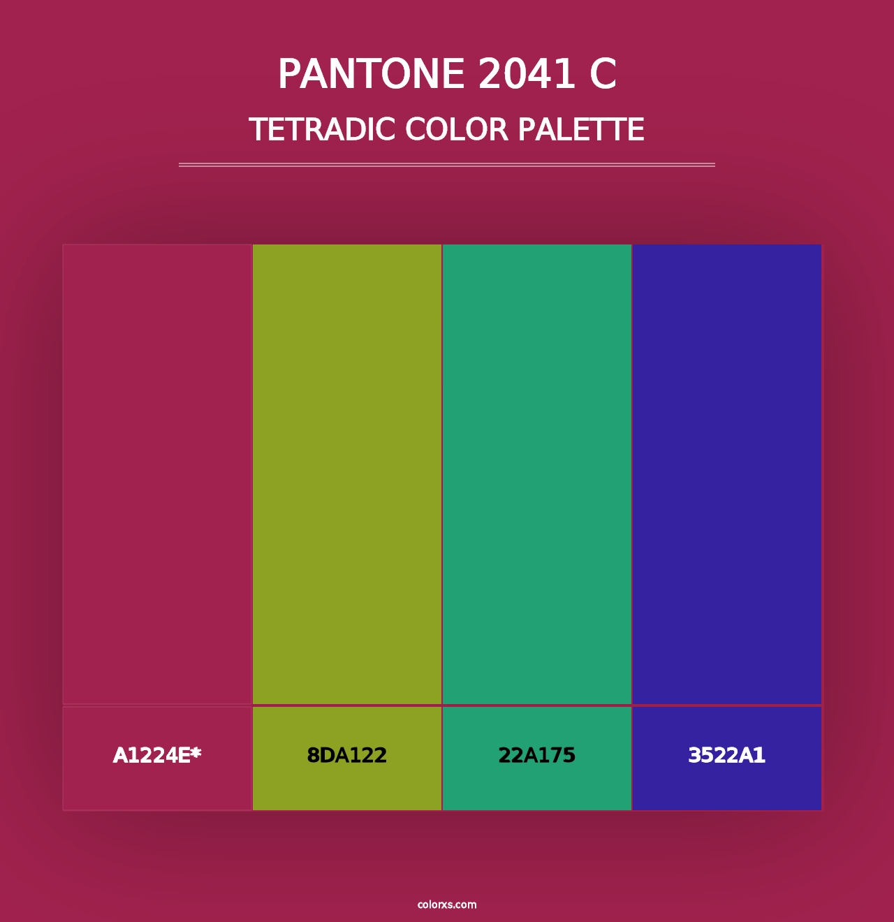 PANTONE 2041 C - Tetradic Color Palette