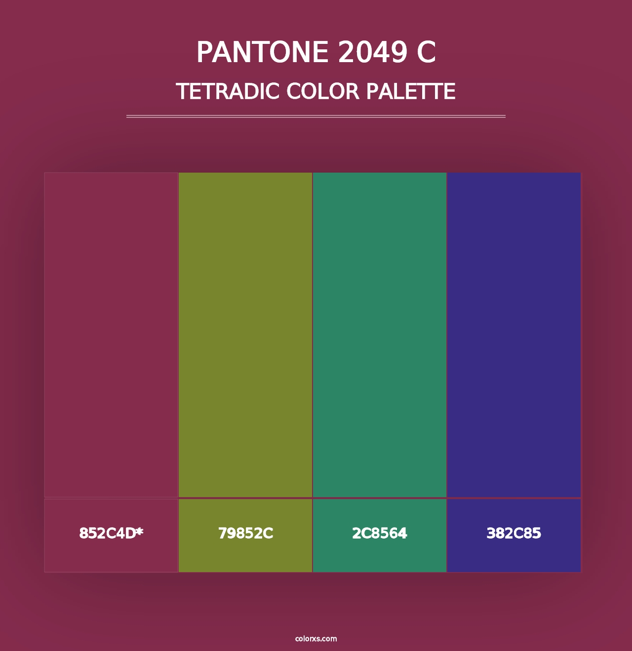 PANTONE 2049 C - Tetradic Color Palette