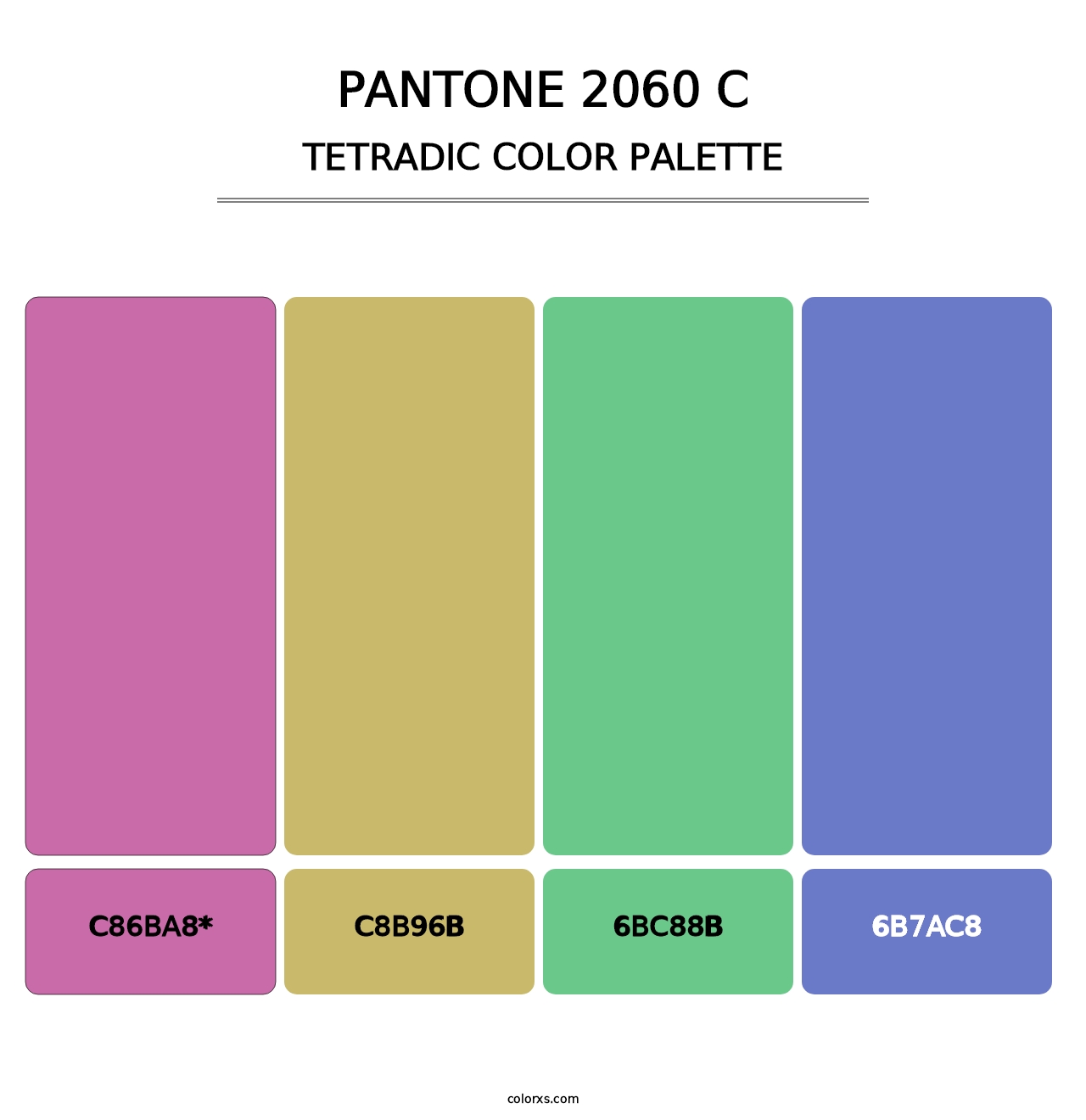 PANTONE 2060 C - Tetradic Color Palette