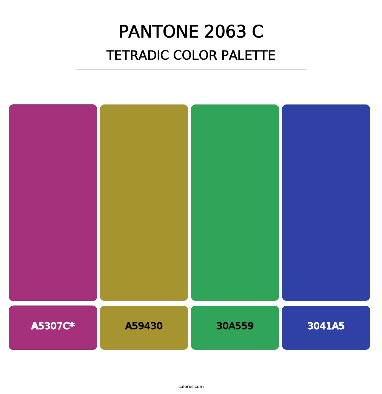 PANTONE 2063 C - Tetradic Color Palette