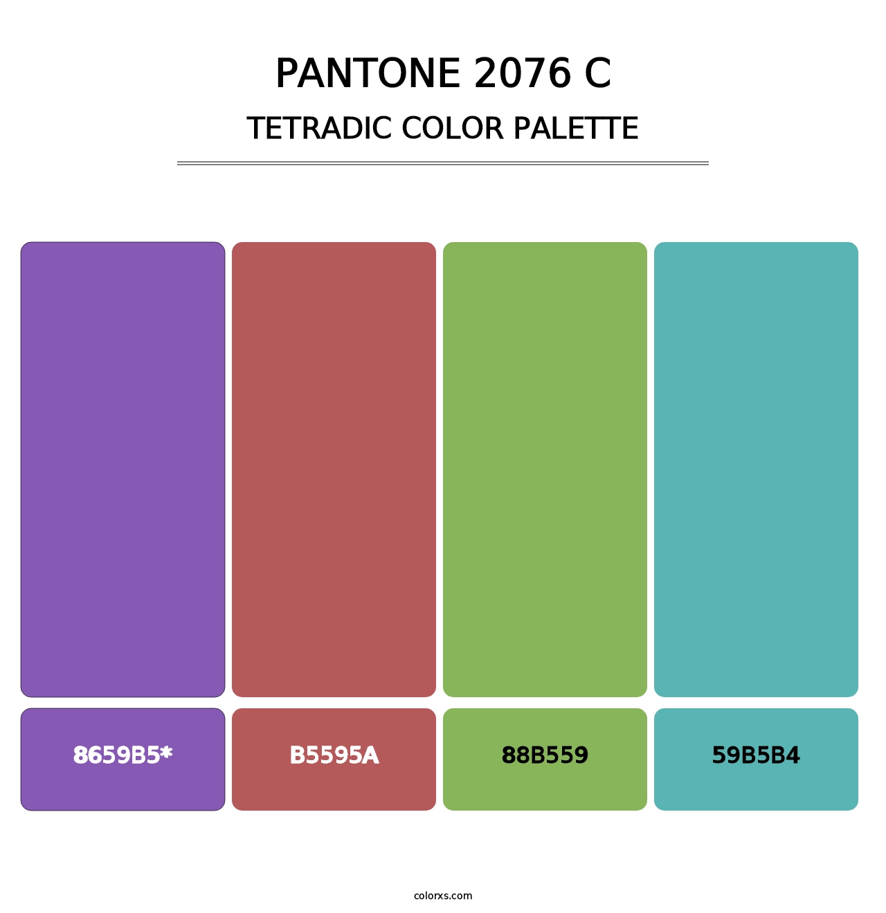 PANTONE 2076 C - Tetradic Color Palette