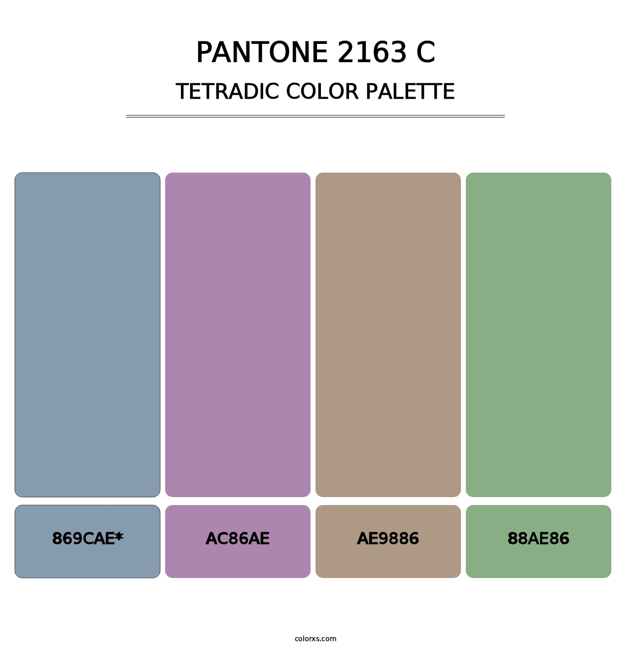 PANTONE 2163 C - Tetradic Color Palette