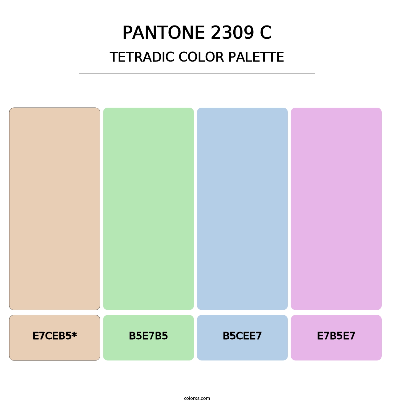 PANTONE 2309 C - Tetradic Color Palette