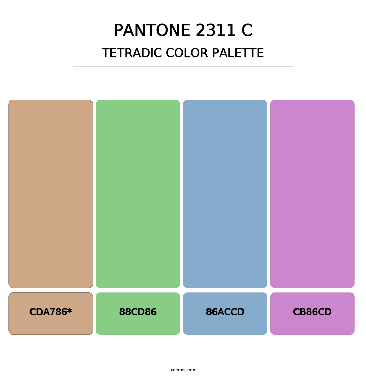 PANTONE 2311 C - Tetradic Color Palette