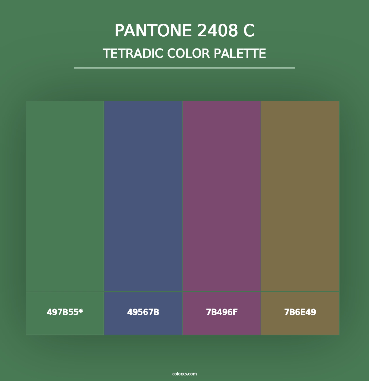 PANTONE 2408 C - Tetradic Color Palette