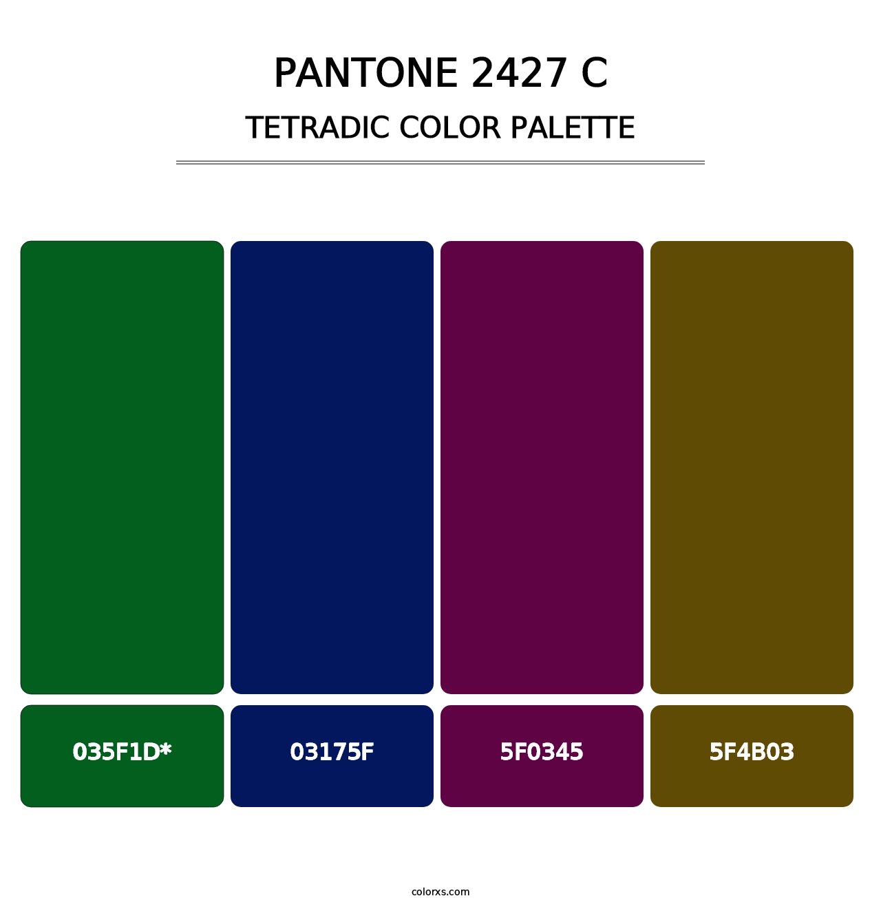 PANTONE 2427 C - Tetradic Color Palette