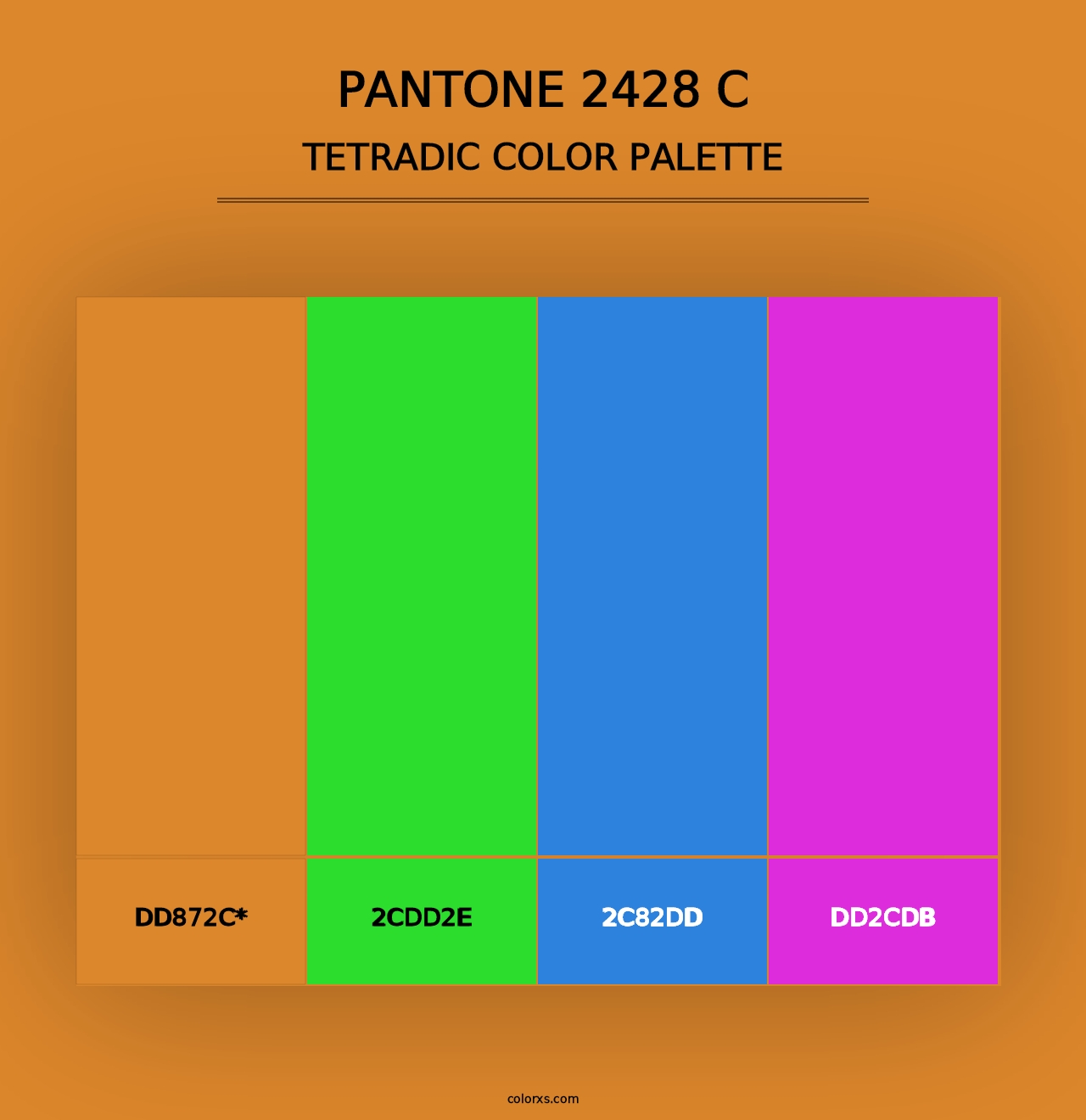 PANTONE 2428 C - Tetradic Color Palette