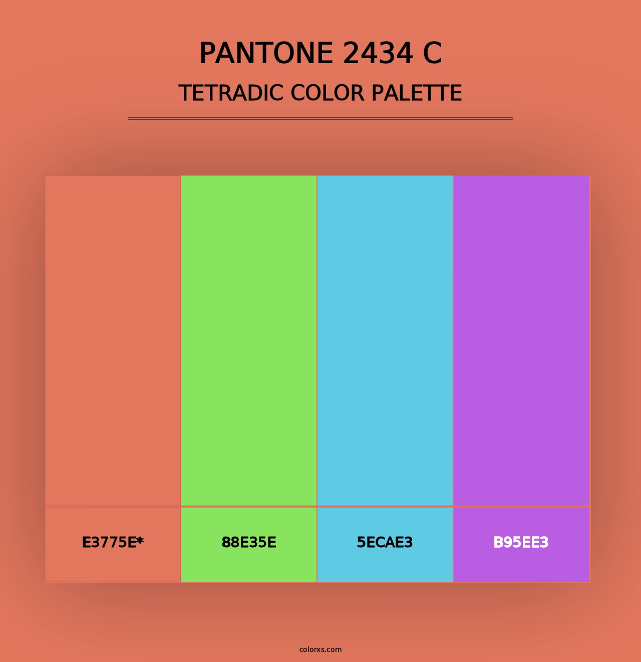 PANTONE 2434 C - Tetradic Color Palette