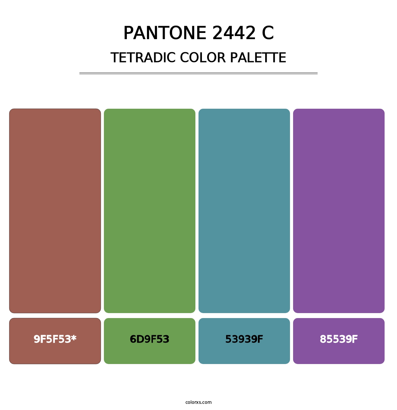 PANTONE 2442 C - Tetradic Color Palette