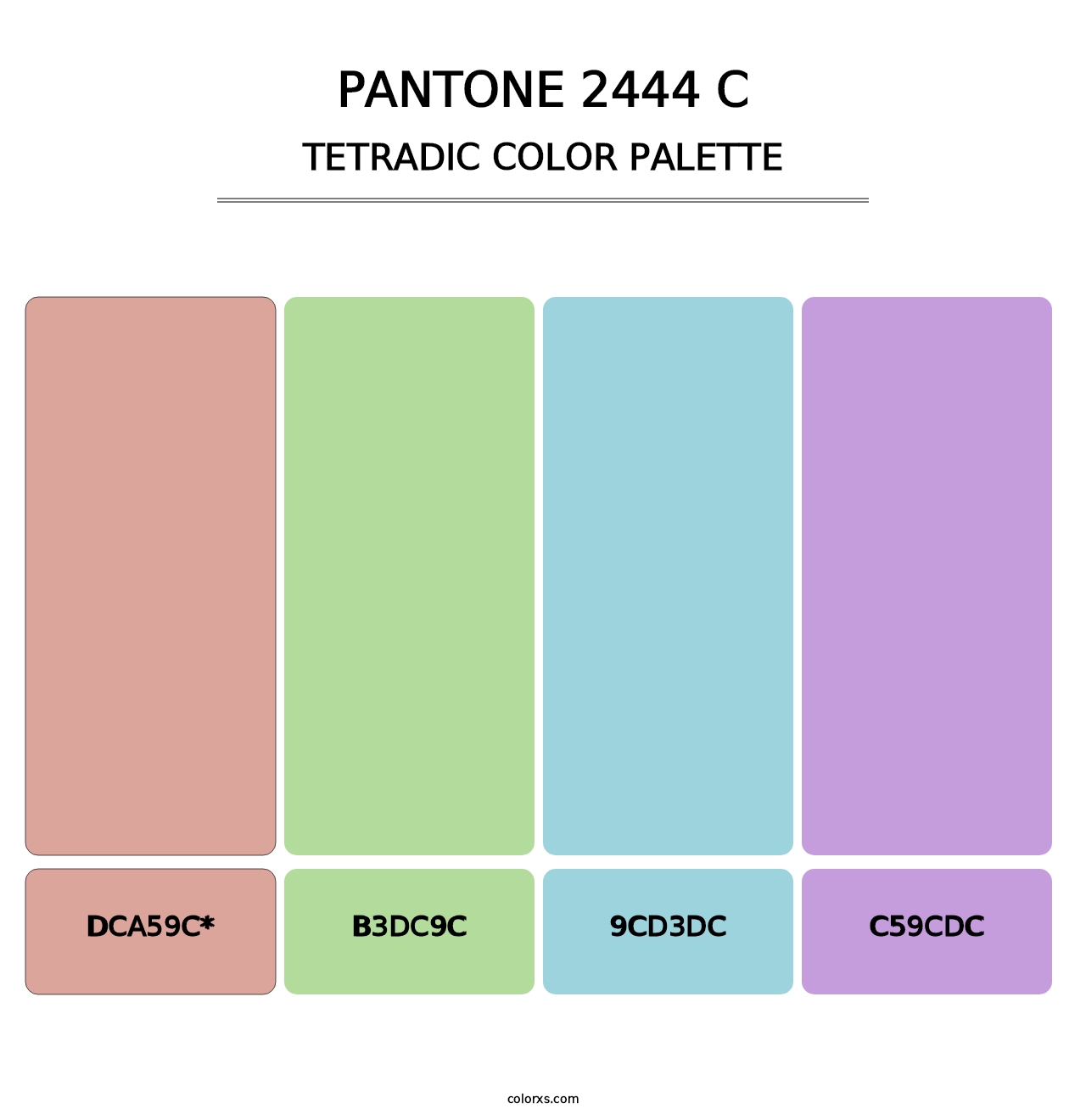 PANTONE 2444 C - Tetradic Color Palette