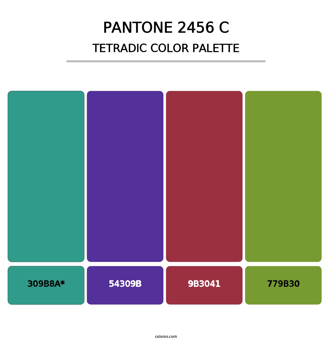 PANTONE 2456 C - Tetradic Color Palette