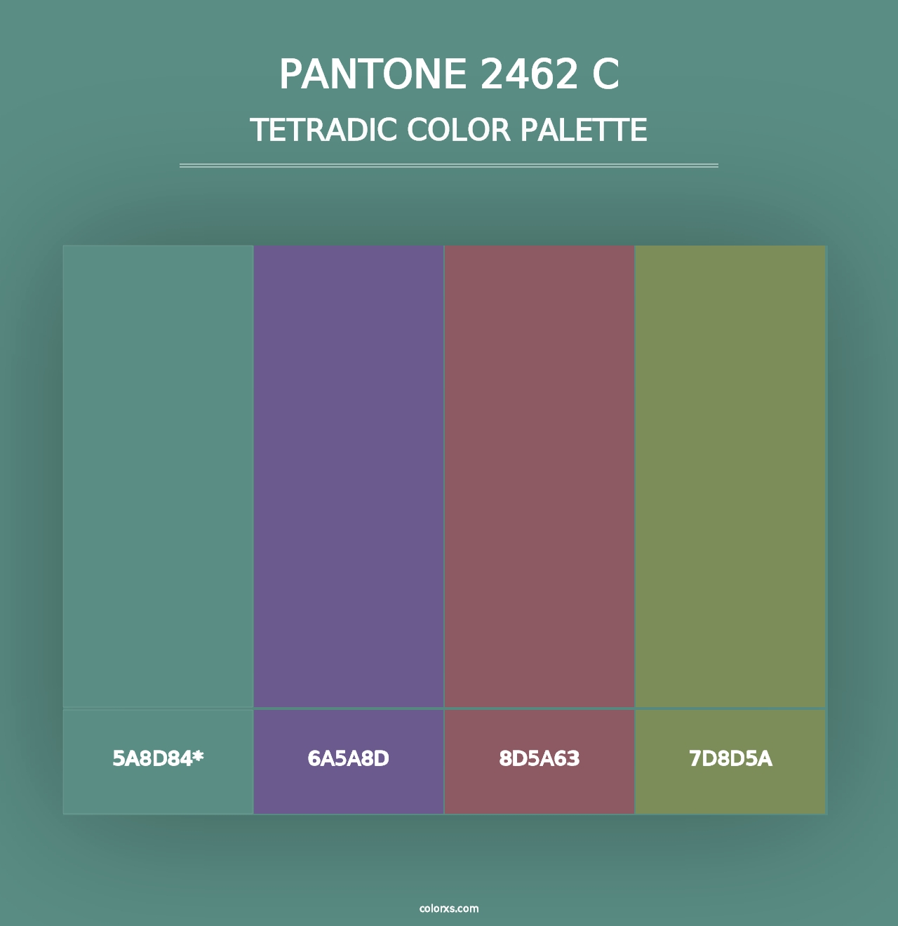 PANTONE 2462 C - Tetradic Color Palette