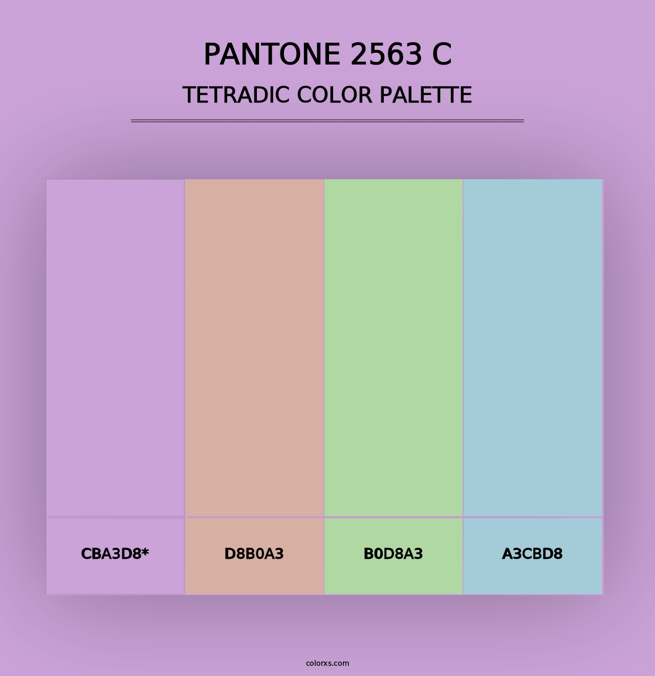 PANTONE 2563 C - Tetradic Color Palette