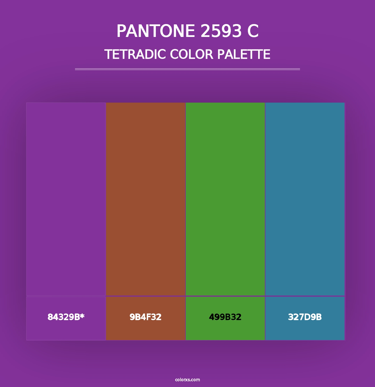 PANTONE 2593 C - Tetradic Color Palette