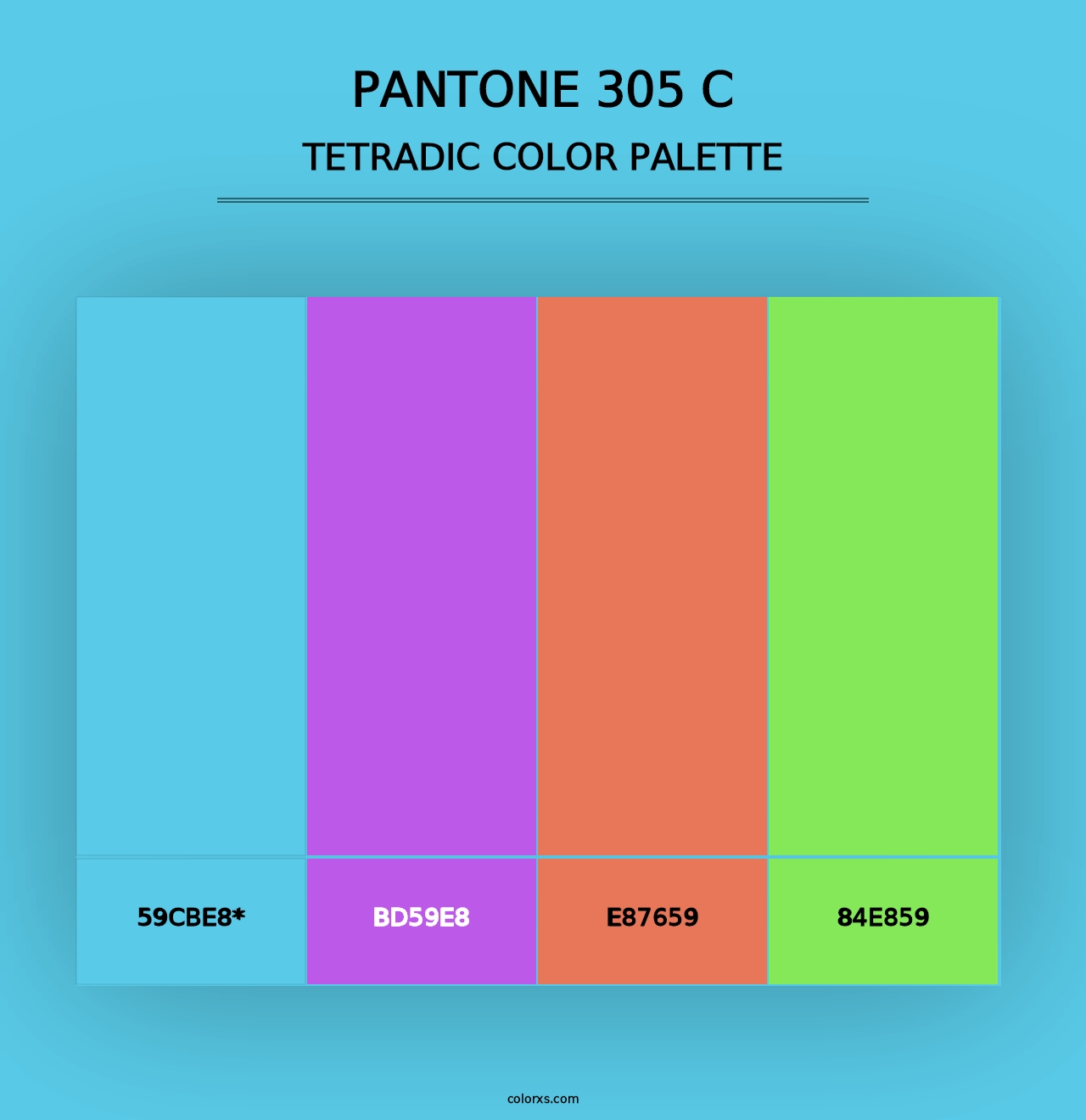 PANTONE 305 C - Tetradic Color Palette