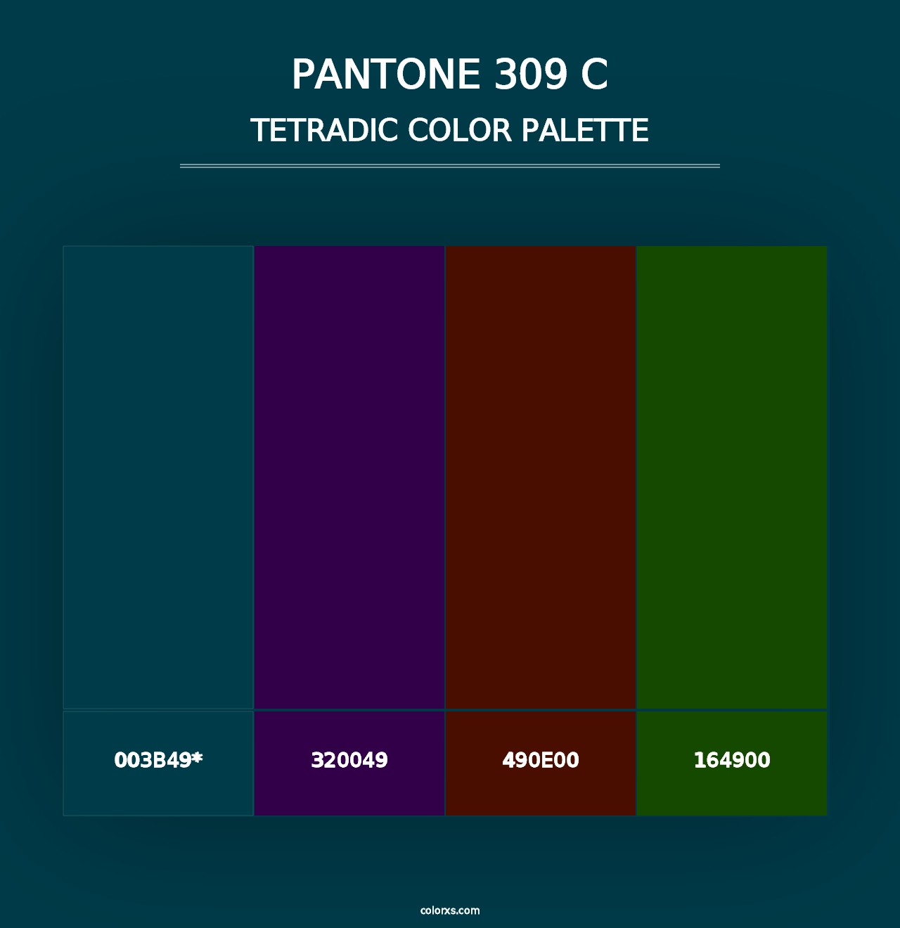 PANTONE 309 C - Tetradic Color Palette