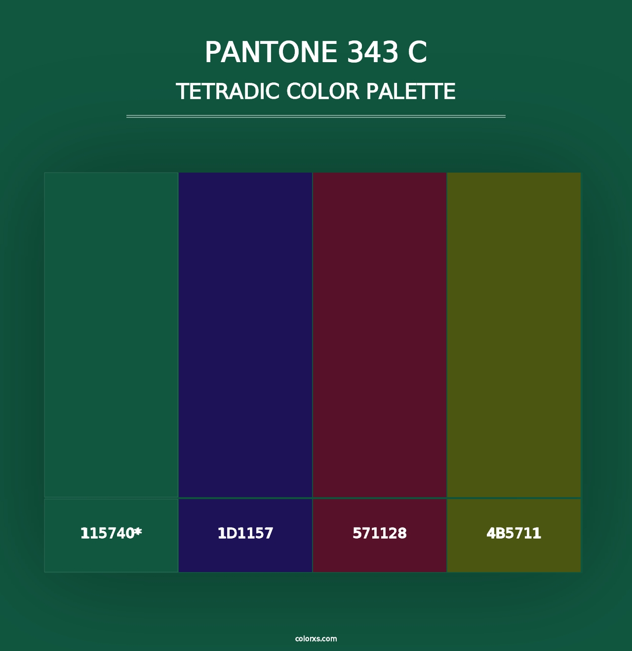 PANTONE 343 C - Tetradic Color Palette