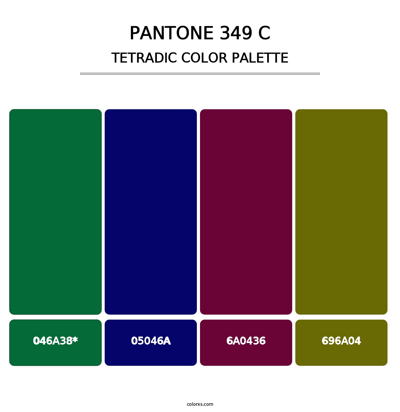 PANTONE 349 C - Tetradic Color Palette