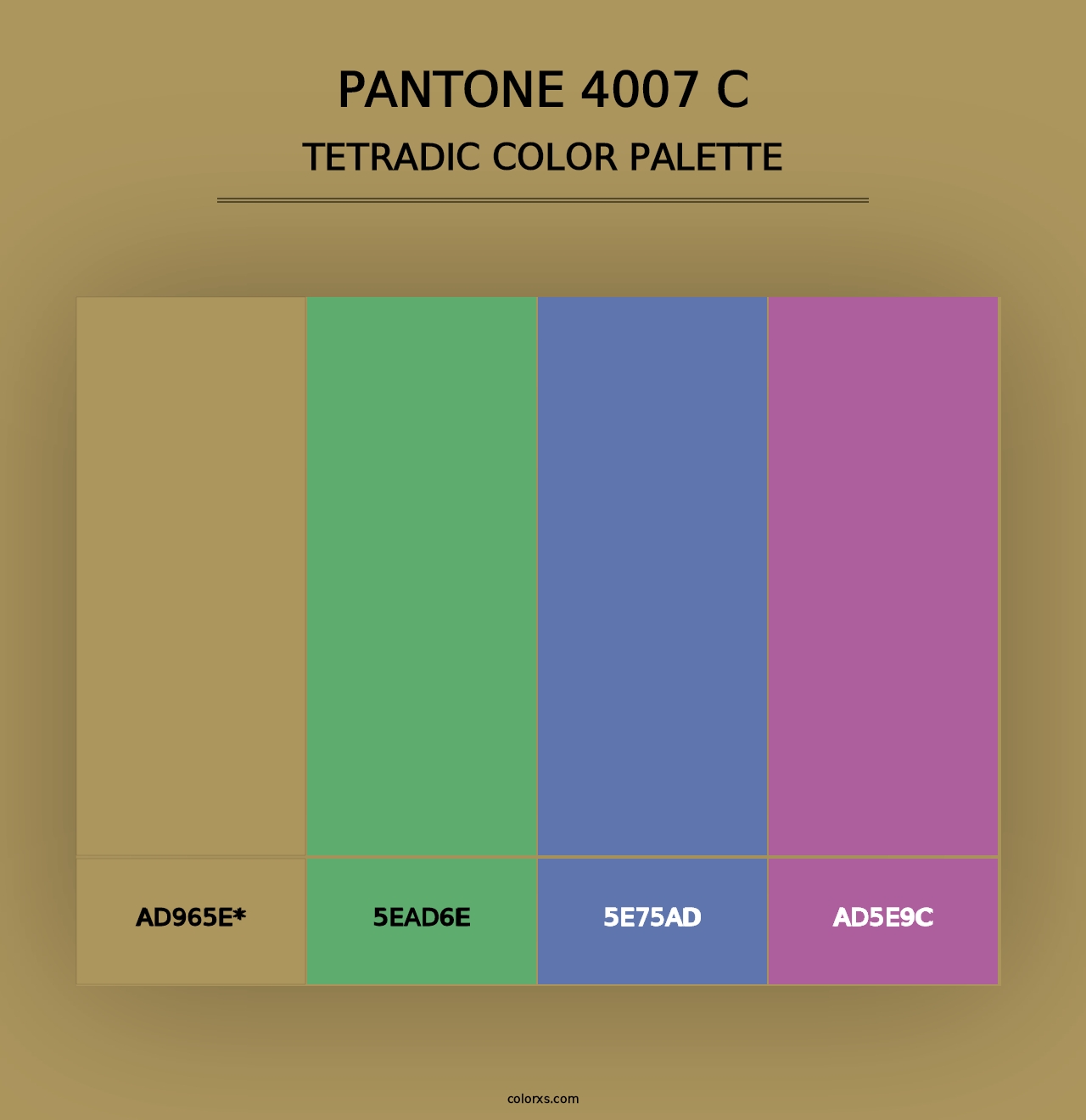 PANTONE 4007 C - Tetradic Color Palette