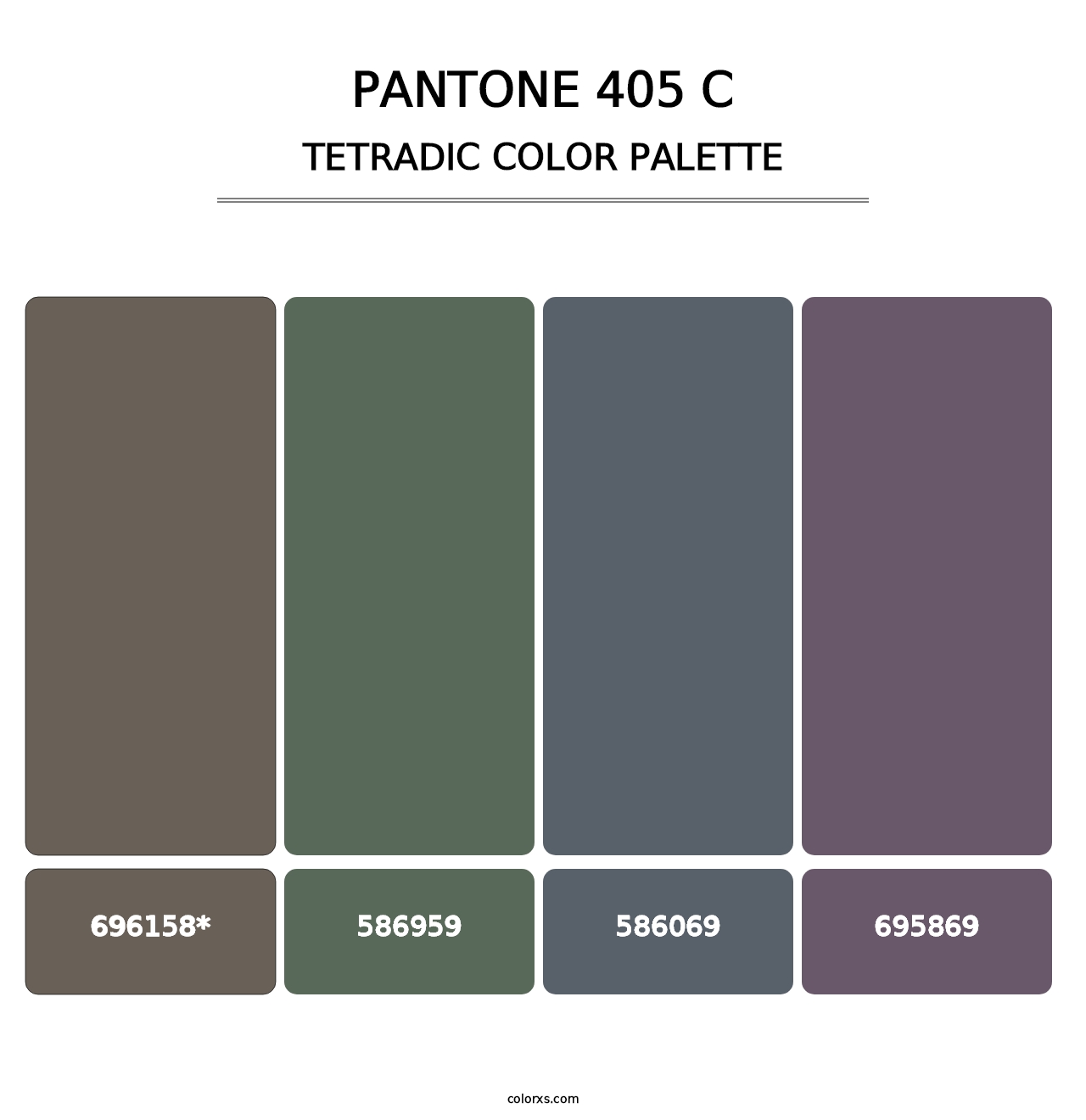 PANTONE 405 C - Tetradic Color Palette