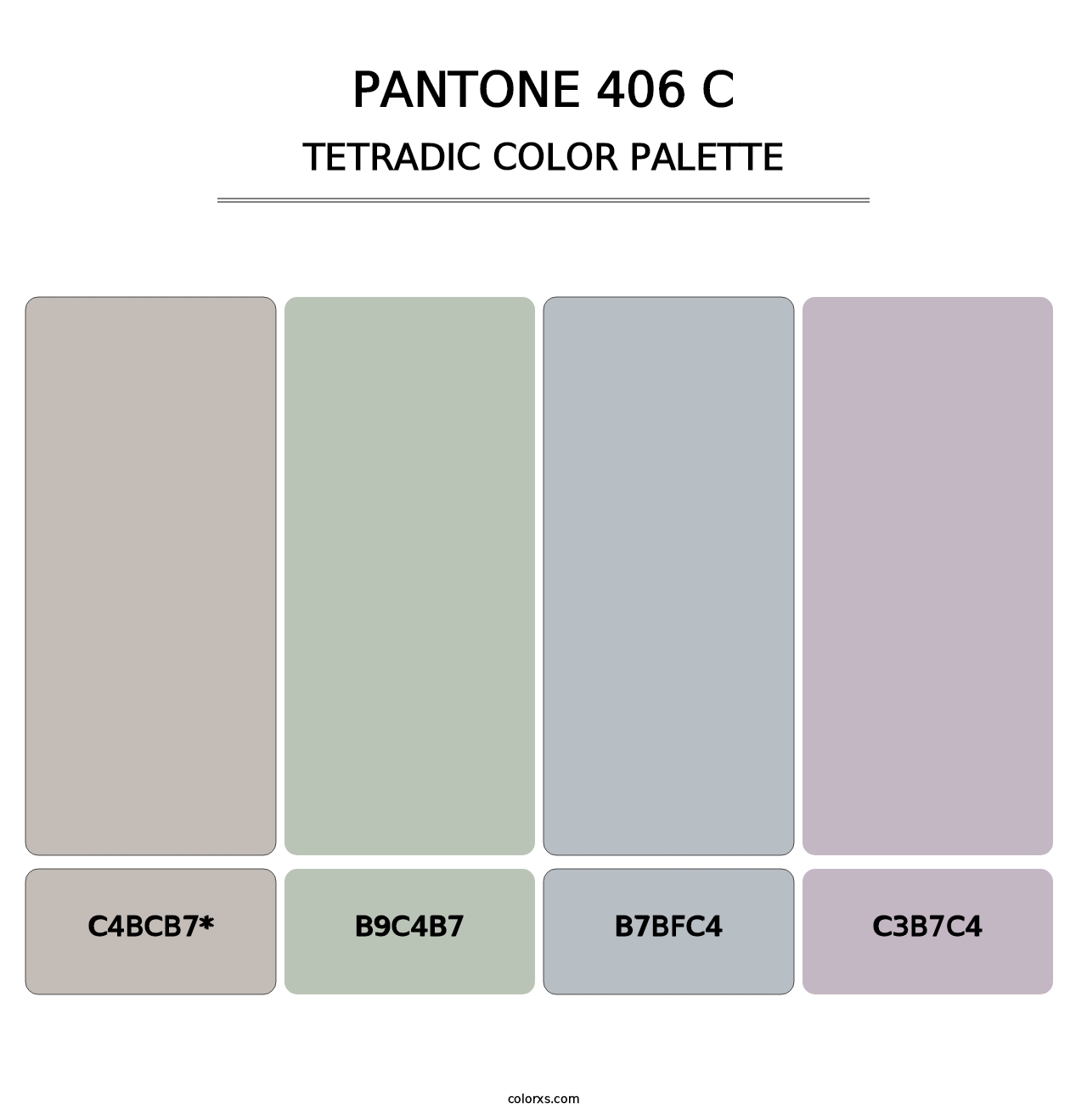 PANTONE 406 C - Tetradic Color Palette