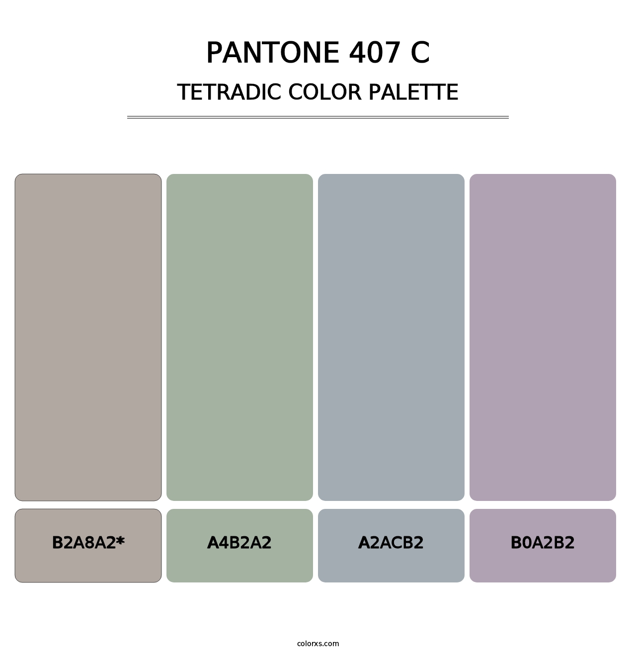 PANTONE 407 C - Tetradic Color Palette