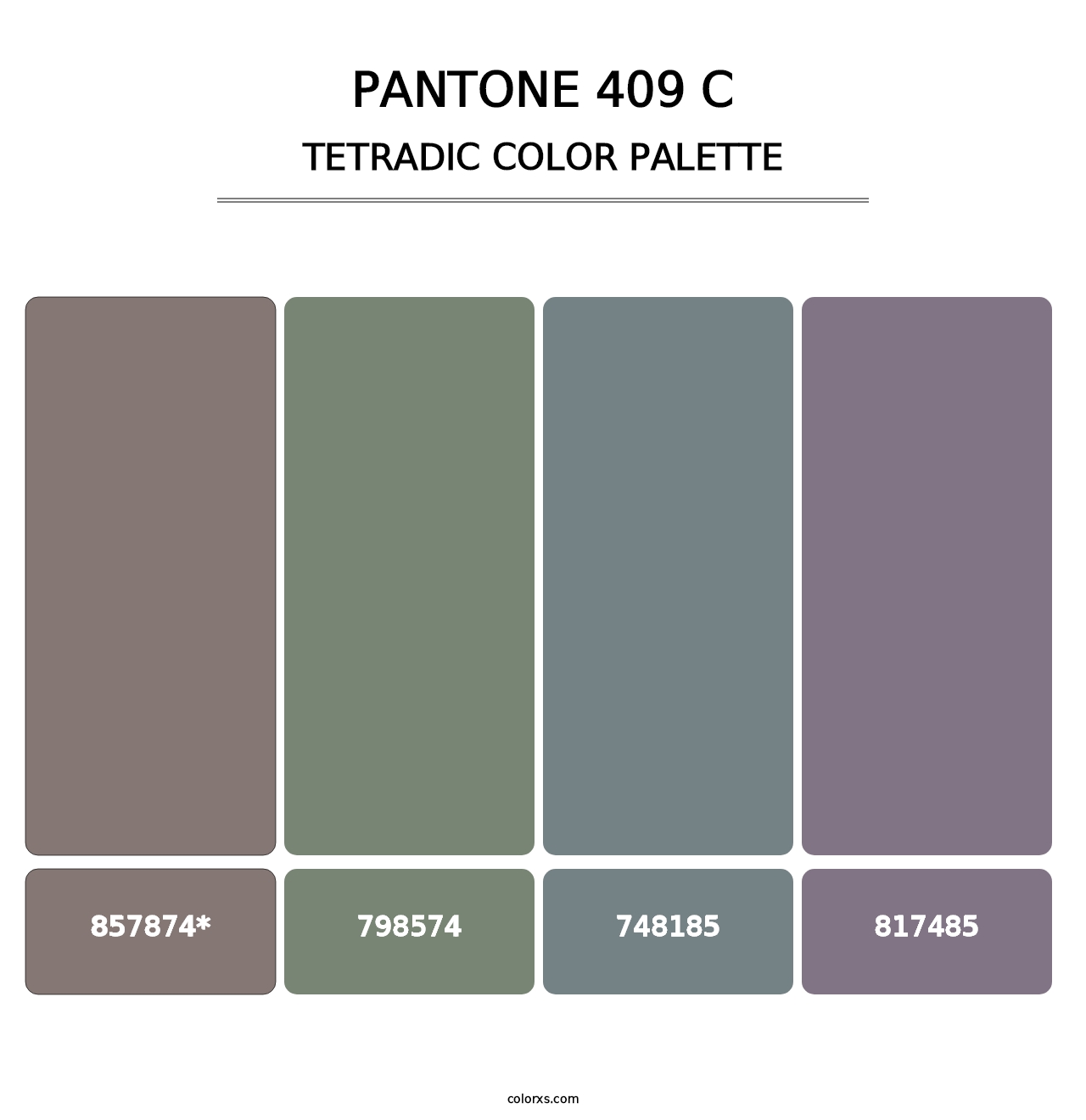 PANTONE 409 C - Tetradic Color Palette