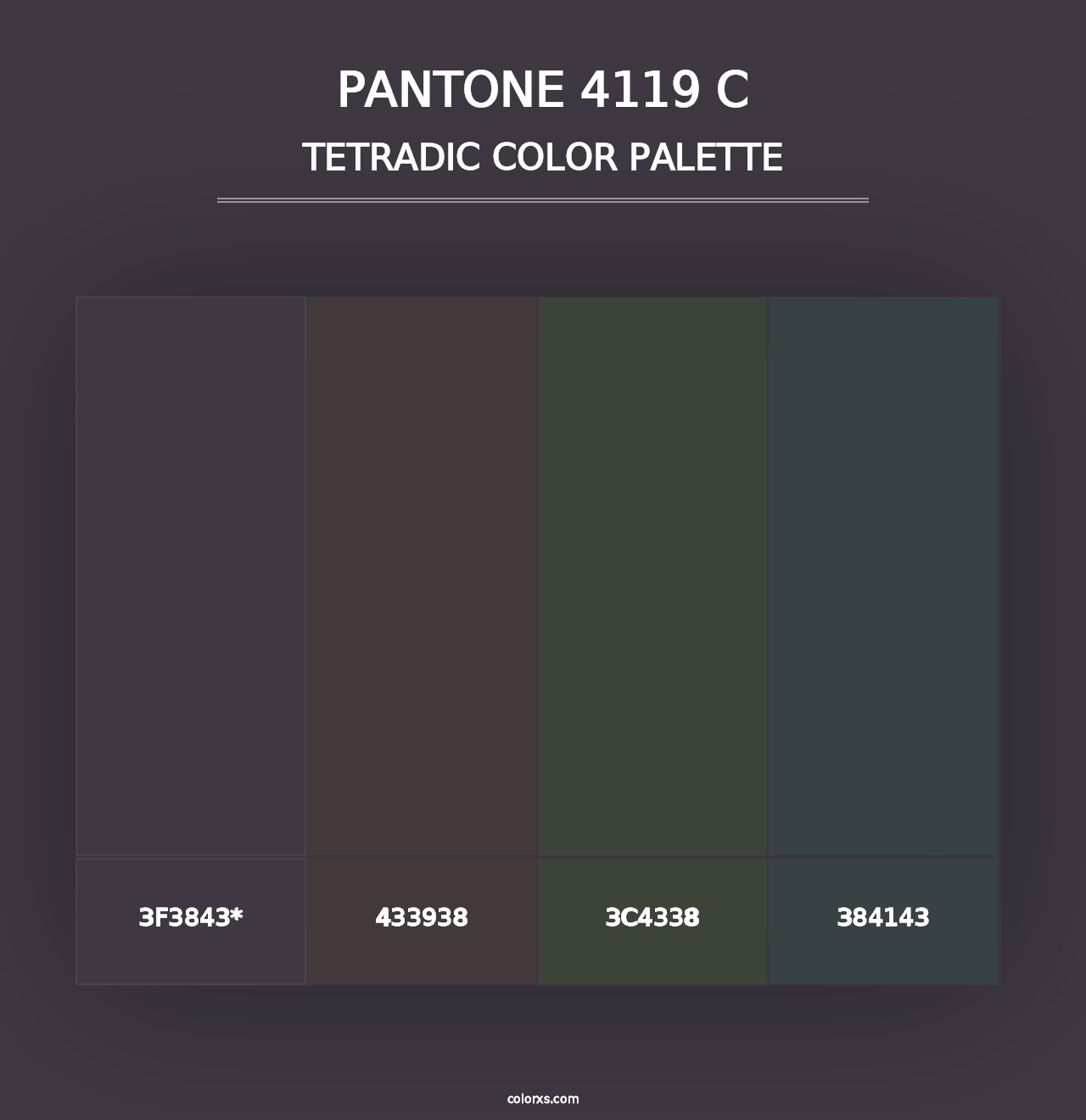 PANTONE 4119 C - Tetradic Color Palette